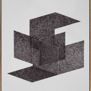 2025-Descomposición I, Tinta sobre papel 48 x 36.5 cm.