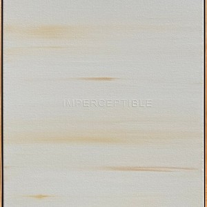 2022-IMPERCEPTIBLE BAC, Acrílico sobre tela 60 x 45 cm